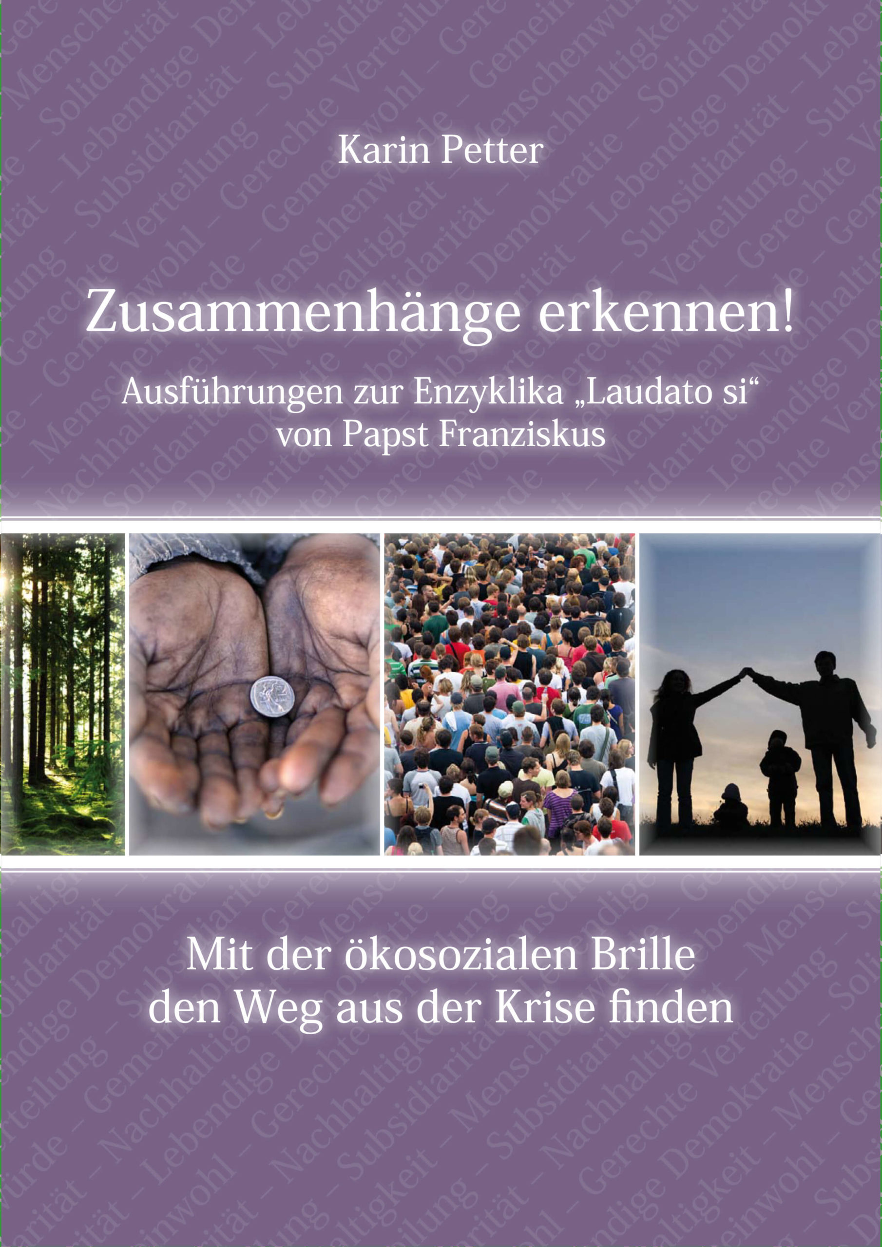 Laudato Si - Ausführungen zur Enzyklika von Papst Franziskus - Karin Petter-Trausnitz